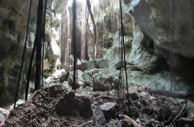 Cueva del Puente Parque Cotubanama